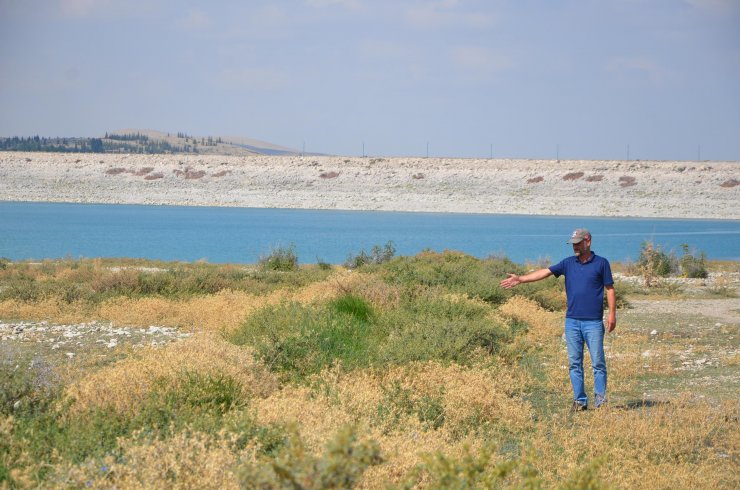 Kanalizasyon suları, baraj göletine akıyor