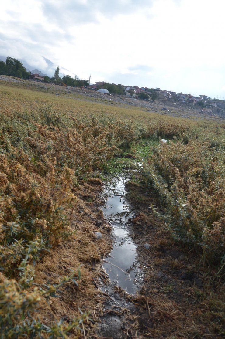Kanalizasyon suları, baraj göletine akıyor