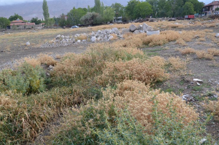 Kanalizasyon suları, baraj göletine akıyor