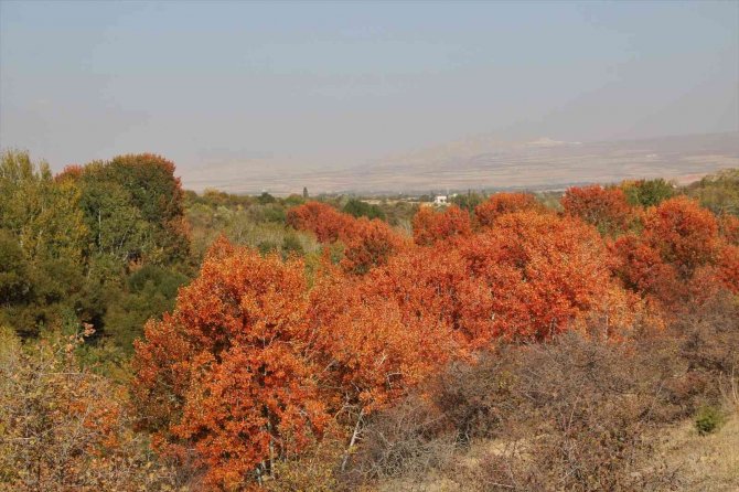 Elazığ’da sonbaharda rengarenk olan ağaçlar havadan görüntülendi