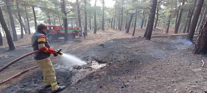 7 hektar ormanlık alan yangında zarar gördü