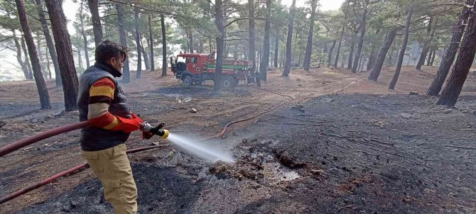 7 hektar ormanlık alan yangında zarar gördü