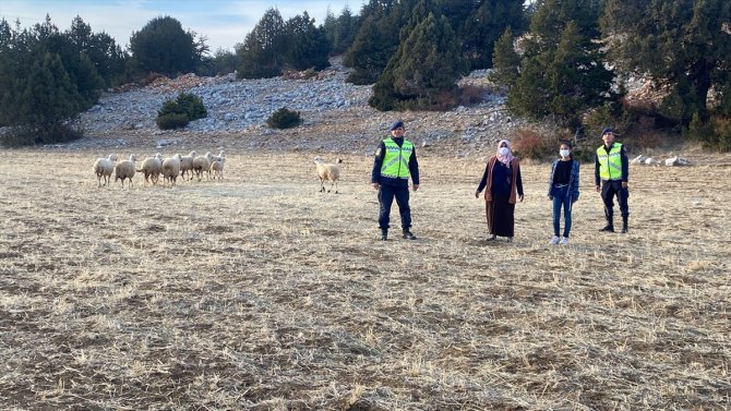 Jandarma ekipleri kayıp koyunları drone yardımıyla buldu