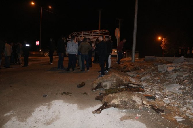 Diyarbakır’da otomobil sürüye çarptı: 4 koyun telef oldu