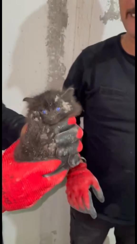 Gider borusunda sıkışan yavru kediyi itfaiye kurtardı