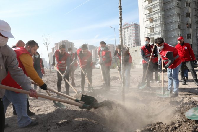 Kayseri'de 200 fidan toprakla buluştu