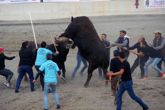 Güreşlerin geliri kimsesiz çocuklara