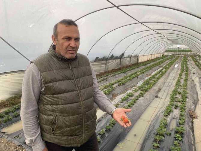 Antalya’da ekili alanlar ve çilek seraları sular altında kaldı