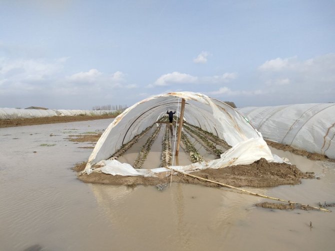 Çiftçi su baskınları sonrası seralarına girdi, çamur sebebiyle yürümekte bile zorlandı