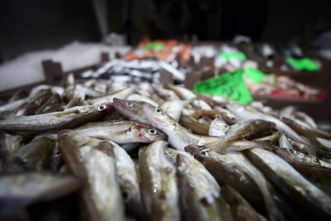 Balıkçıların fırtına nedeniyle denize açılamaması fiyatları artırdı