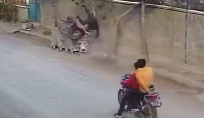 Konya'da çöp konteynerine çarpan motosikletli takla attı, çöpteki kedi fırladı