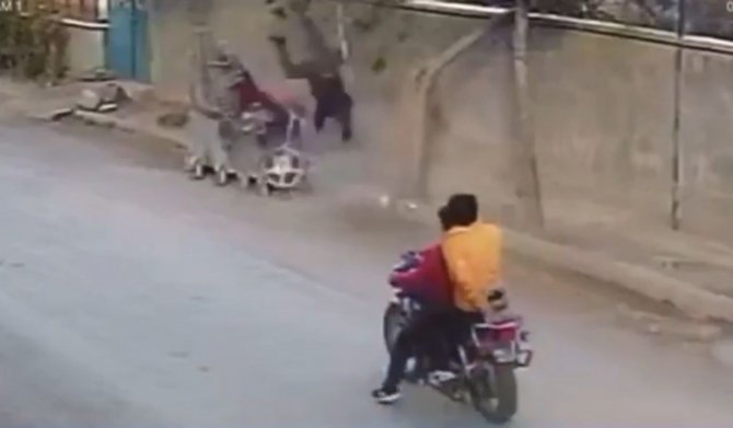Konya'da çöp konteynerine çarpan motosikletli takla attı, çöpteki kedi fırladı