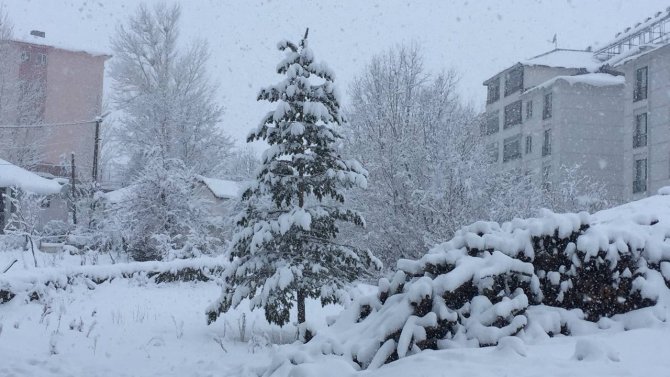 Karlıova’da kar kalınlığı 50 santime ulaştı, 30 köy yolu ulaşıma kapandı