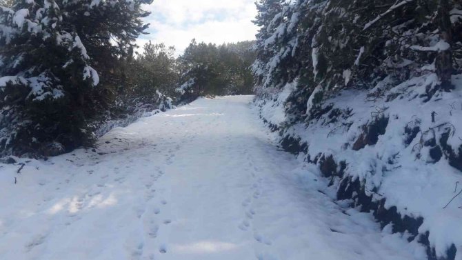 Kardan kapanan yayla yolları ulaşıma açıldı