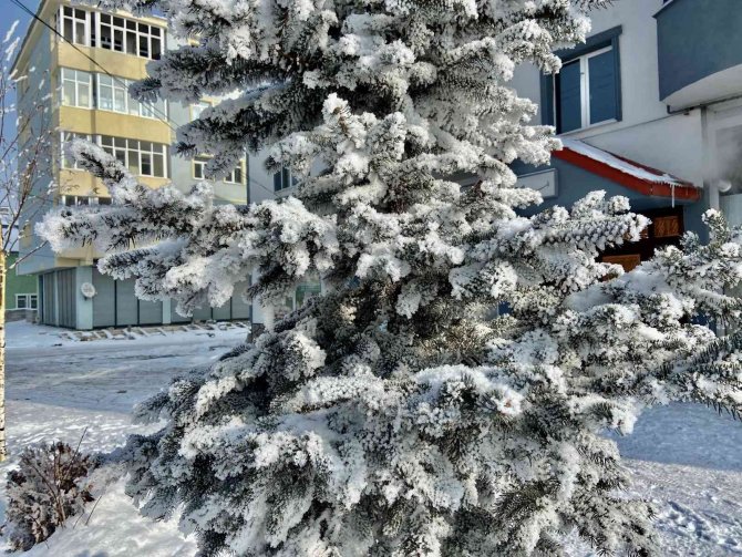 Ağrı’da termometreler eksi 28 dereceyi gösterdi