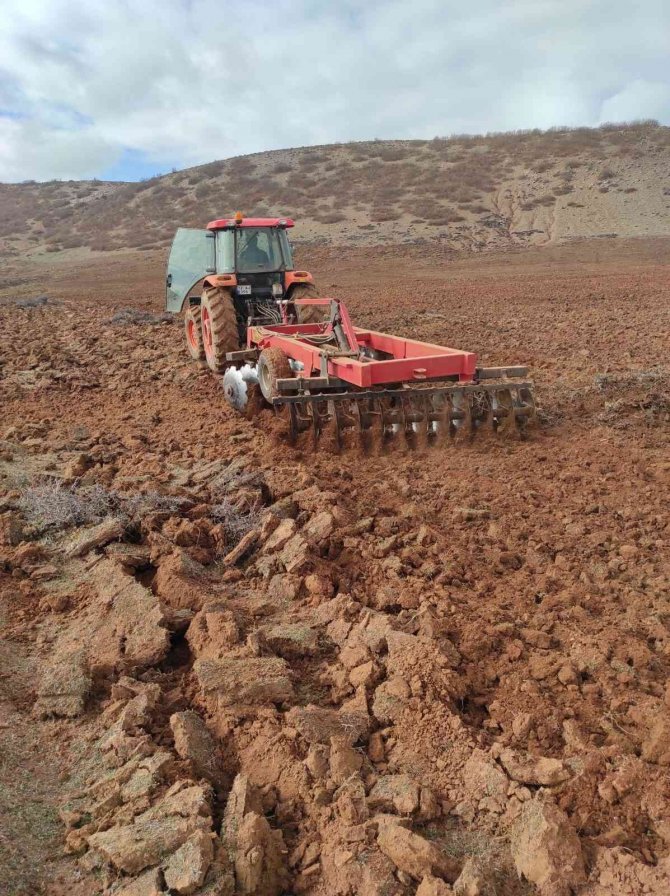 Bingöl’de 210 bin adet fidan toprakla buluştu