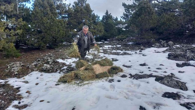 Ağır kış şartlarında doğadaki canlılar unutulmadı