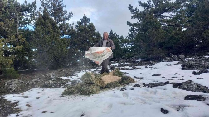 Ağır kış şartlarında doğadaki canlılar unutulmadı