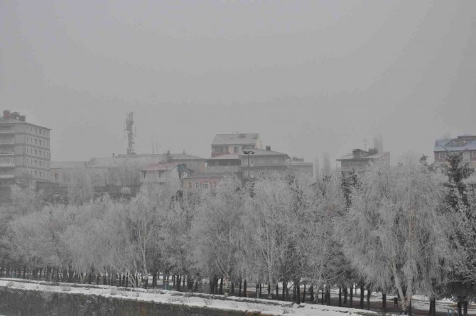 Kars’ta ağaçlar kırağı tuttu