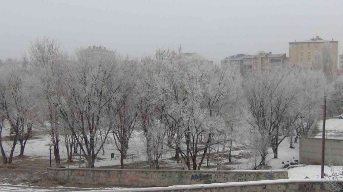 Kars’ta ağaçlar kırağı tuttu