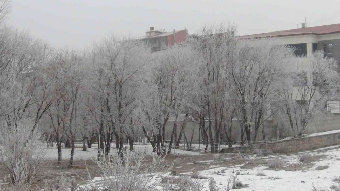 Kars’ta ağaçlar kırağı tuttu