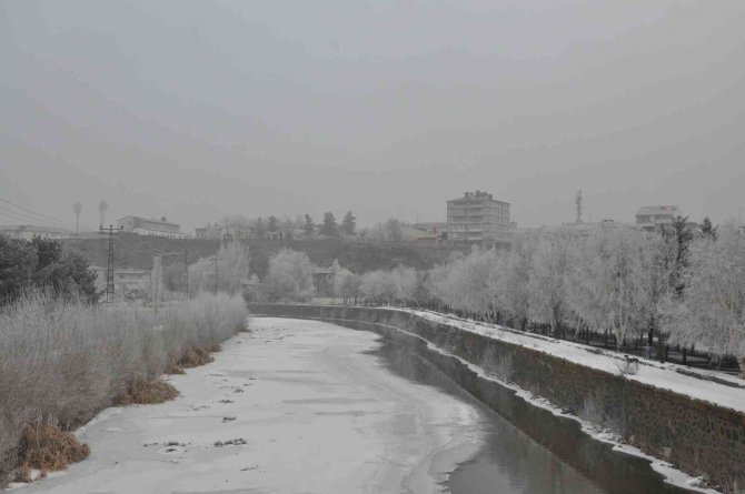 Kars’ta ağaçlar kırağı tuttu