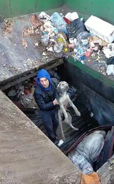 Çöp ayrıştırma makinesine düşen köpek kurtarıldı