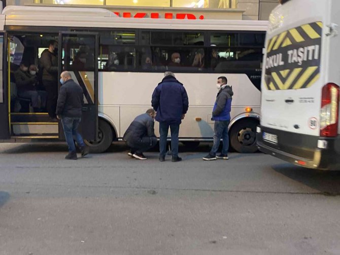 Yolcular kediyi fark etti, otobüs cadde ortasında durduruldu