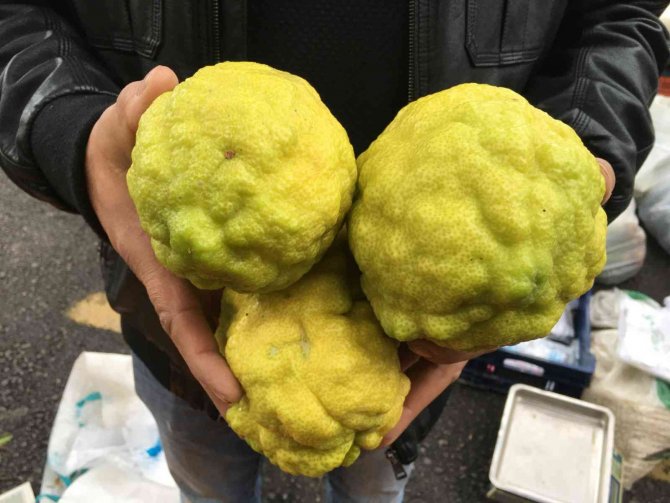 Bergamot, pazarın ilgi odağı oldu