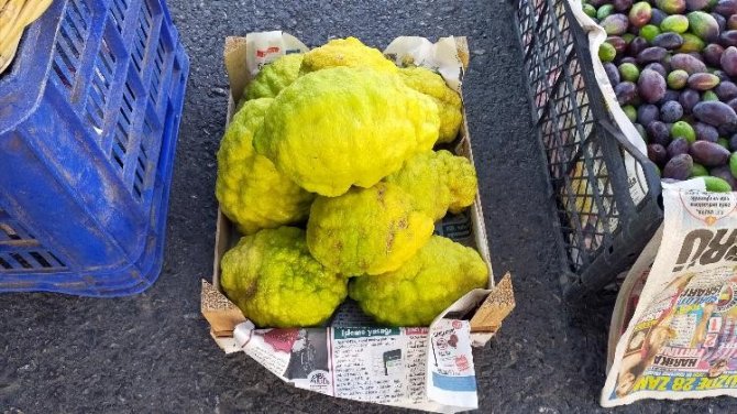 Bergamot, pazarın ilgi odağı oldu