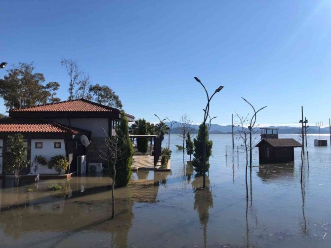 Arı kovanları sular altında kaldı