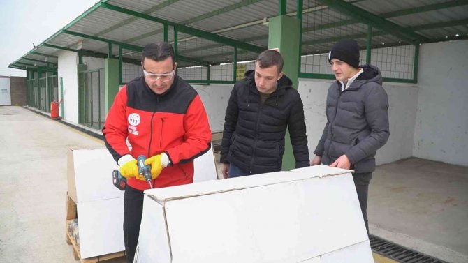 Atıklar sokak hayvanlarına yuva oluyor