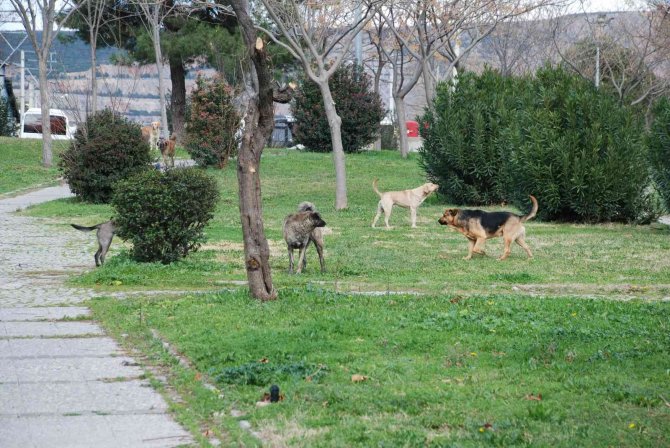 Nazım Hikmet Parkının bakımsızlığı tepki çekiyor