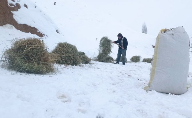 2 bin rakımda besicilerin zorlu yaşam mücadelesi