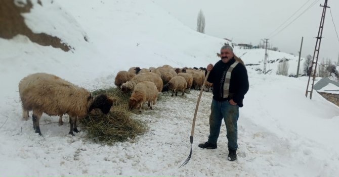 2 bin rakımda besicilerin zorlu yaşam mücadelesi