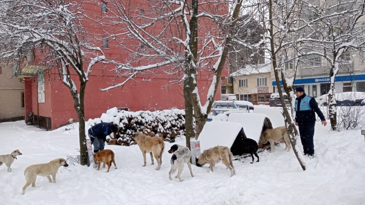 221 köy yolu kardan kapandı