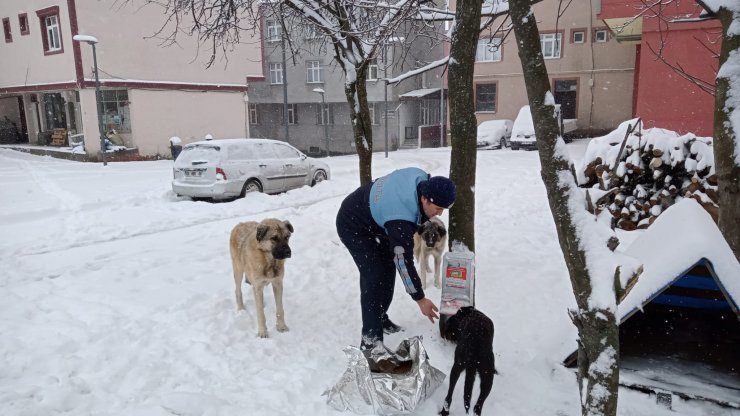 221 köy yolu kardan kapandı