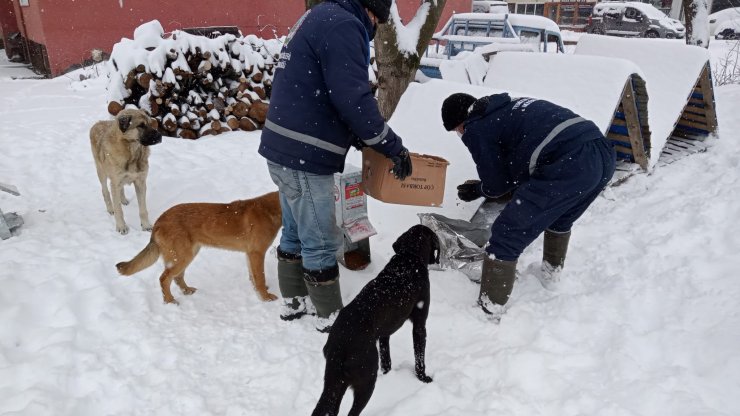 221 köy yolu kardan kapandı