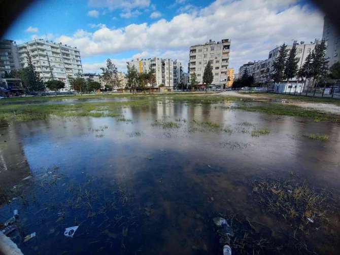 Adana’da su birikintileri buz tuttu