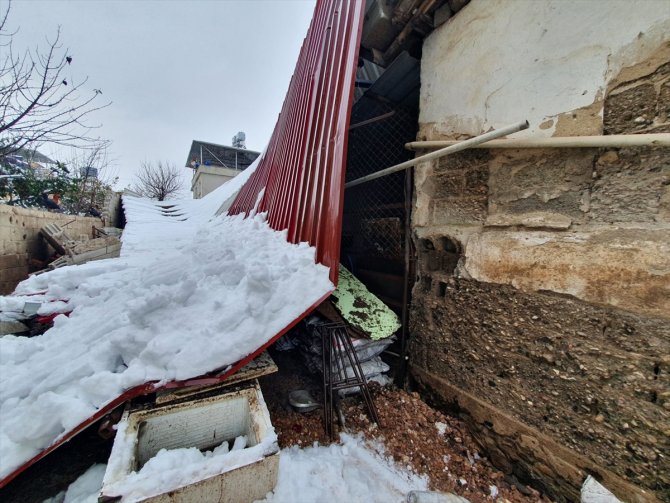 Kar nedeniyle çatısı çöken ağıldaki 19 keçi kurtarıldı