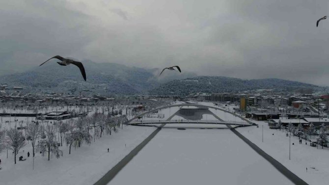 Buz tutan deredeki martıların kar banyosu drone ile görüntülendi