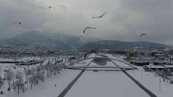 Buz tutan deredeki martıların kar banyosu drone ile görüntülendi