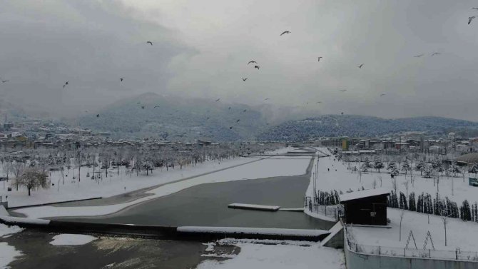 Buz tutan deredeki martıların kar banyosu drone ile görüntülendi