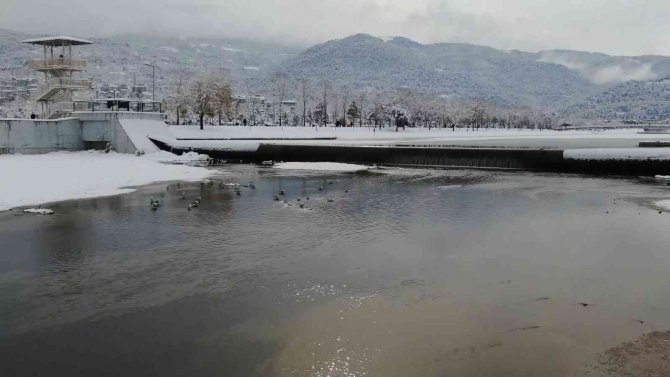 Buz tutan deredeki martıların kar banyosu drone ile görüntülendi