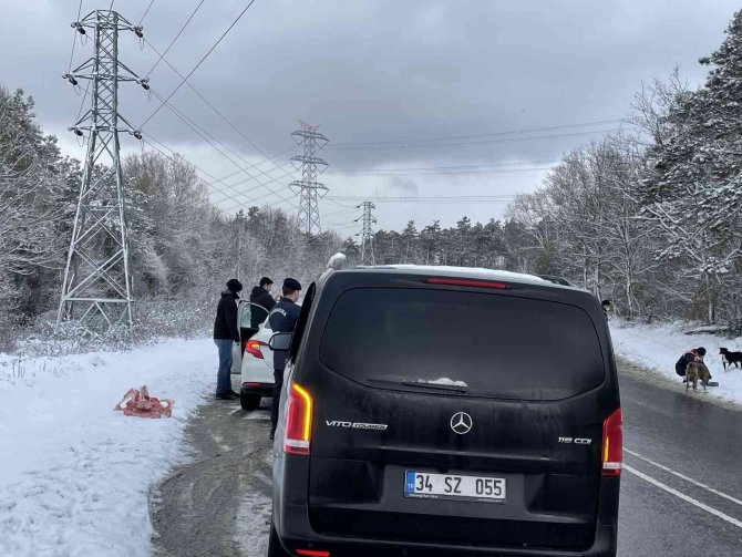 Jandarma sokak hayvanlarını besledi