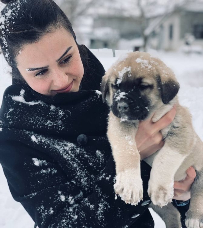 Sahipsiz köpeklere baba ile kızı sahip çıktı