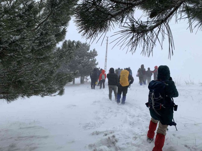 Tipiye aldırmadılar, yaban hayvanları için doğaya yem bıraktılar