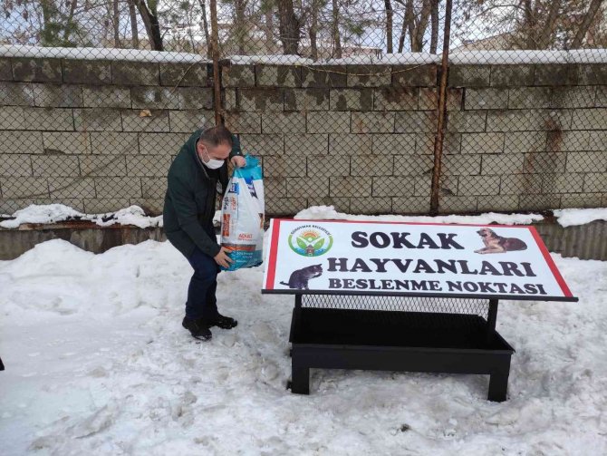 Güroymak Belediyesi sokak hayvanlarına sahip çıktı