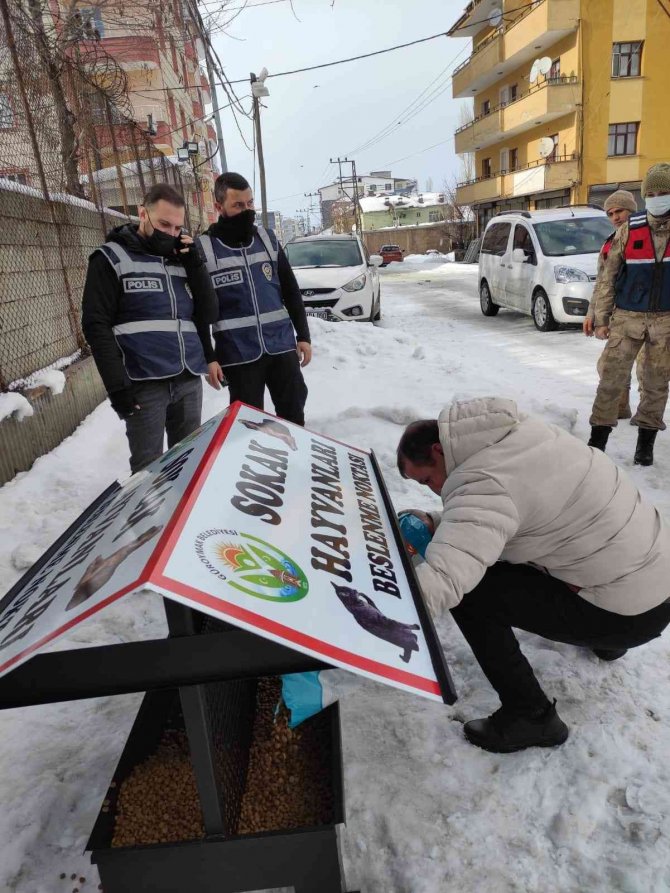 Güroymak Belediyesi sokak hayvanlarına sahip çıktı