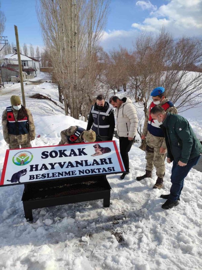 Güroymak Belediyesi sokak hayvanlarına sahip çıktı